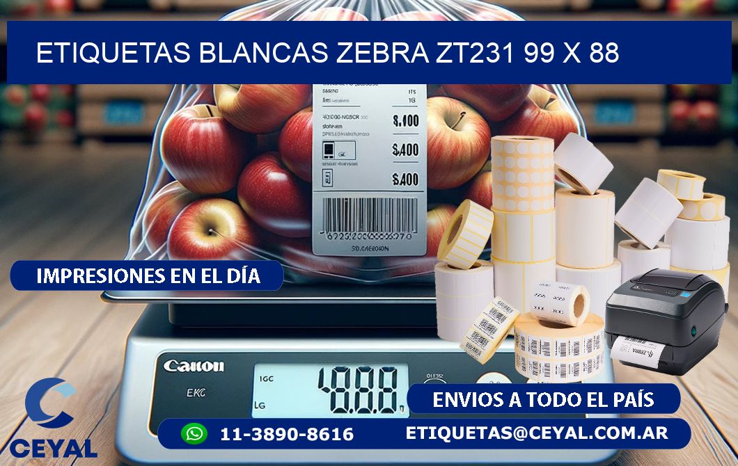 ETIQUETAS BLANCAS ZEBRA ZT231 99 x 88