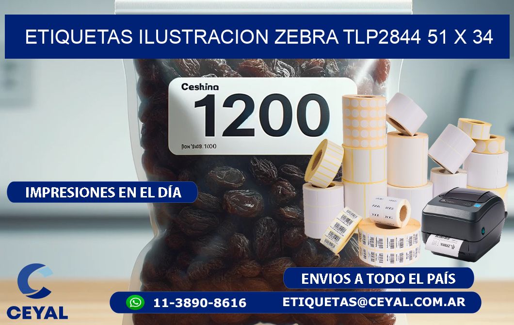ETIQUETAS ILUSTRACION ZEBRA TLP2844 51 x 34