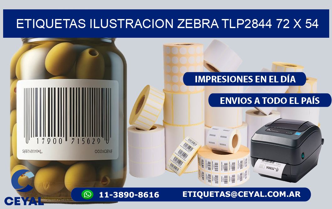 ETIQUETAS ILUSTRACION ZEBRA TLP2844 72 x 54