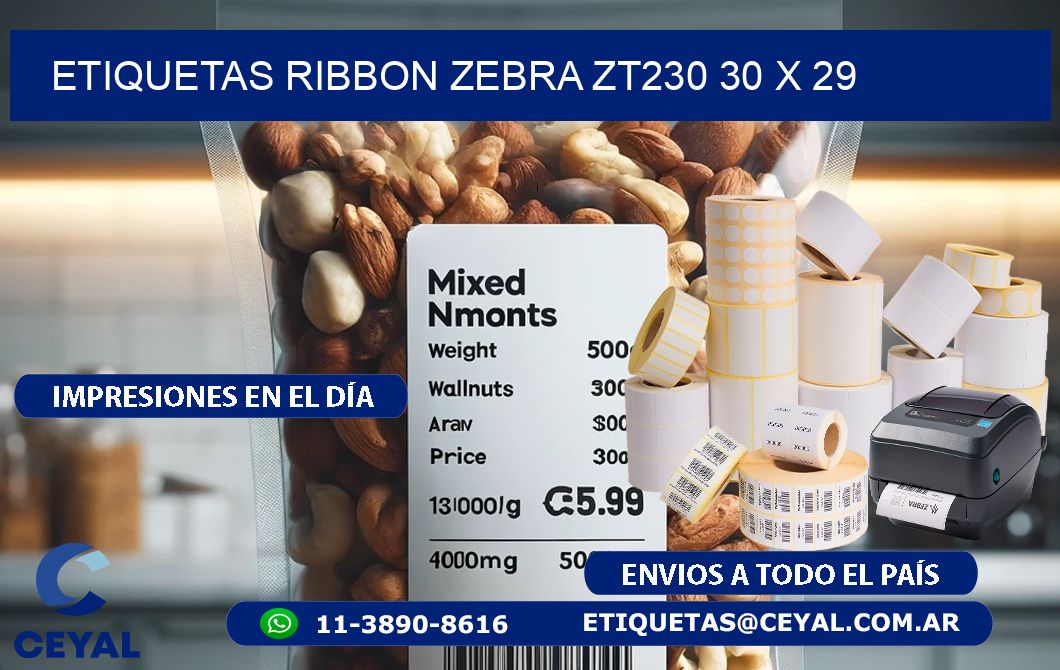 ETIQUETAS RIBBON Zebra ZT230 30 x 29