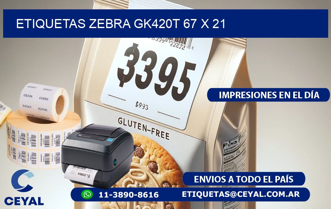 ETIQUETAS Zebra GK420T 67 x 21