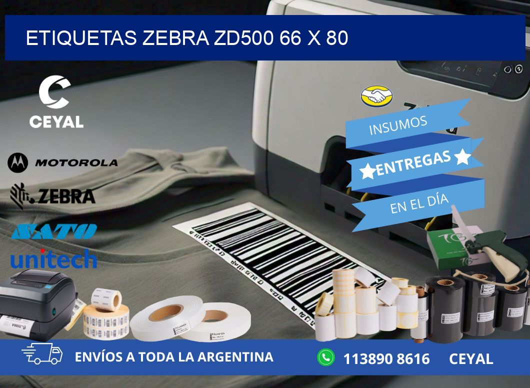 ETIQUETAS Zebra ZD500 66 x 80