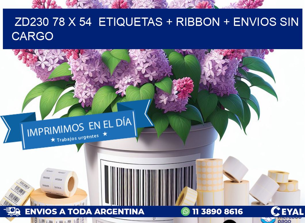 ZD230 78 x 54  etiquetas + ribbon + envios sin cargo