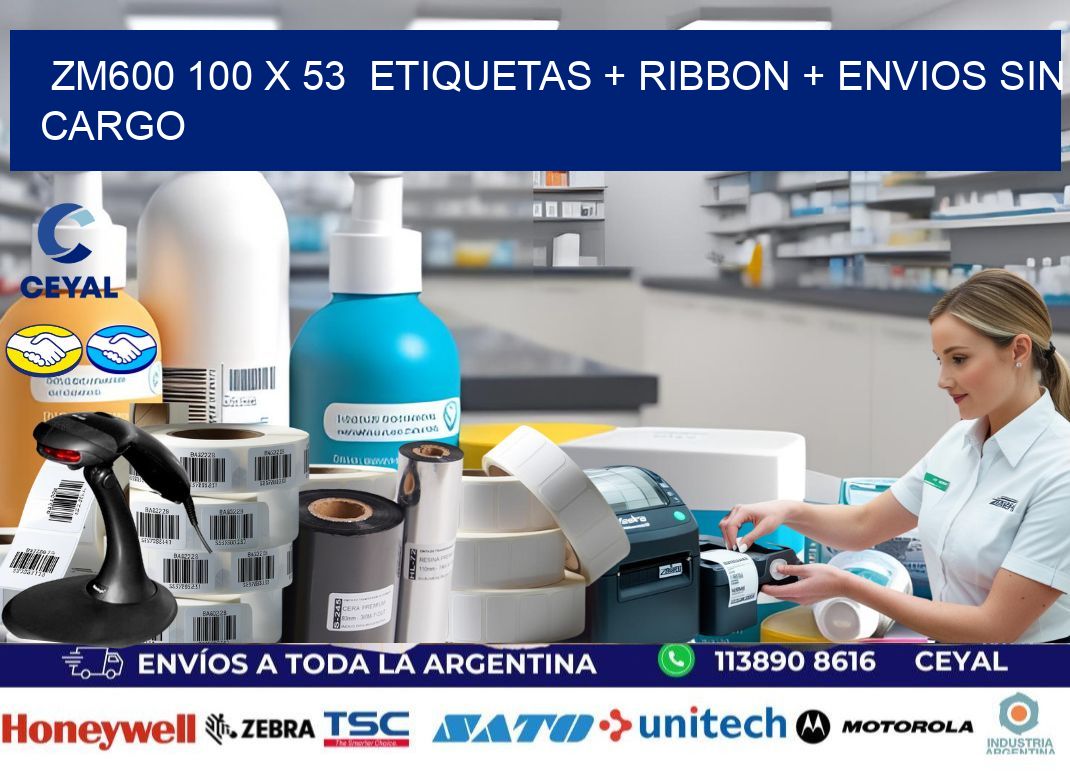ZM600 100 x 53  etiquetas + ribbon + envios sin cargo