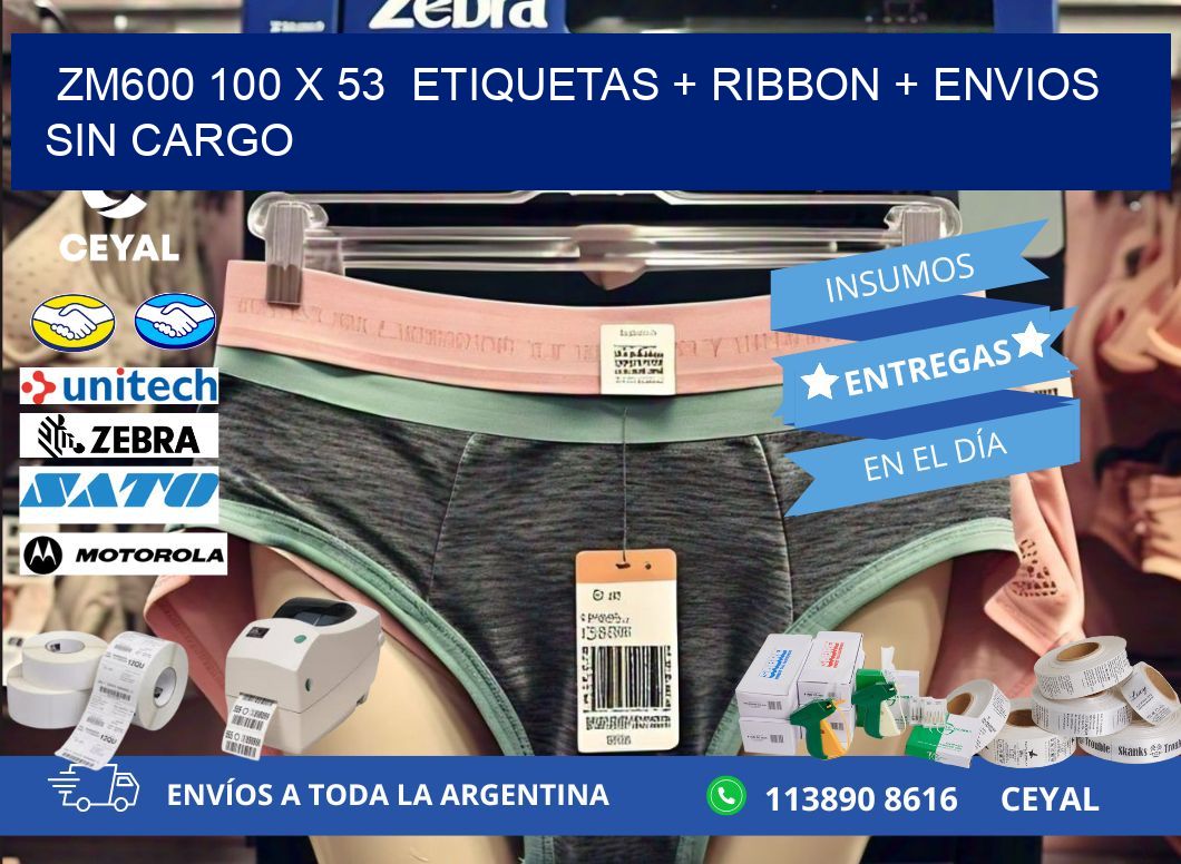 ZM600 100 x 53  etiquetas + ribbon + envios sin cargo