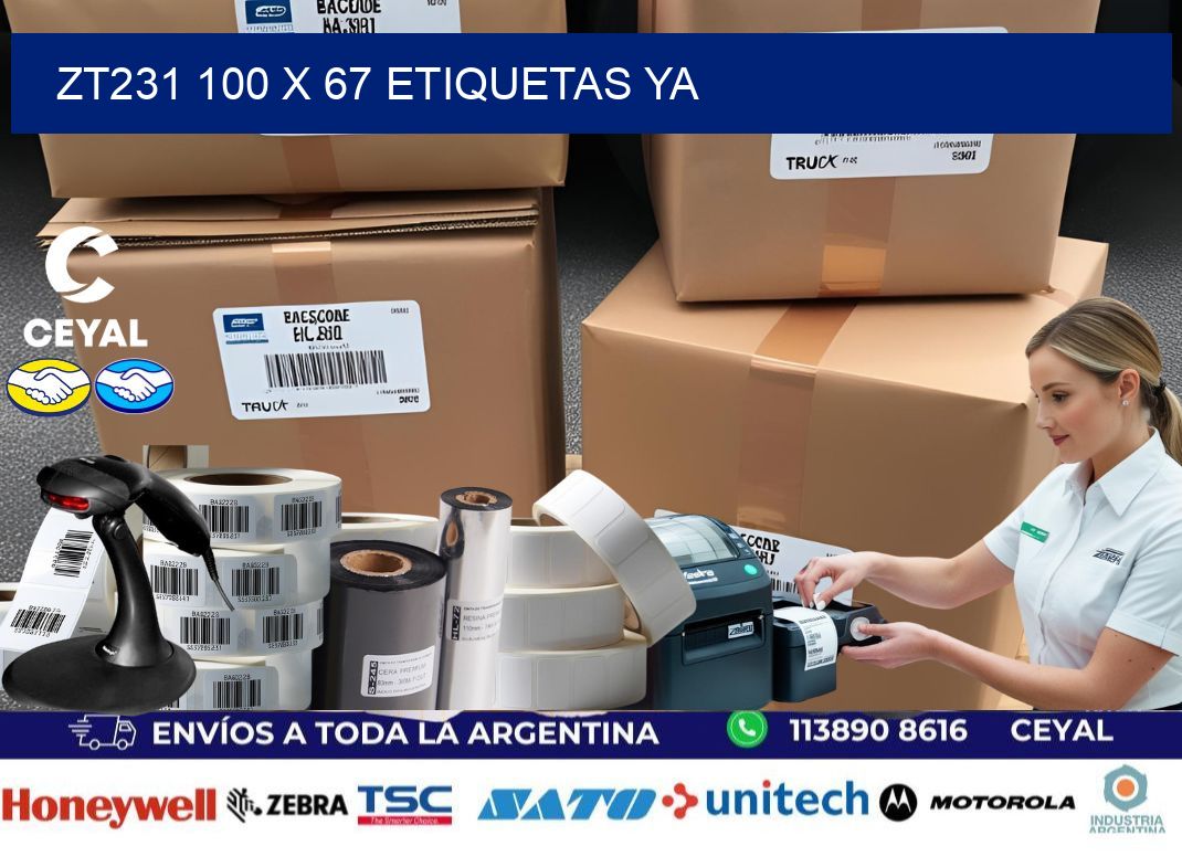 ZT231 100 x 67 ETIQUETAS YA