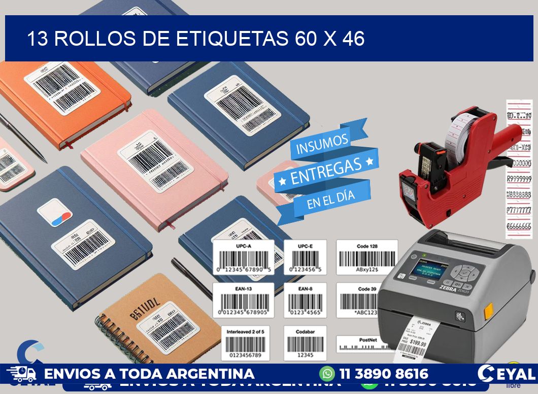 13 ROLLOS DE ETIQUETAS 60 x 46