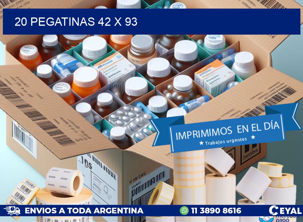 20 PEGATINAS 42 x 93