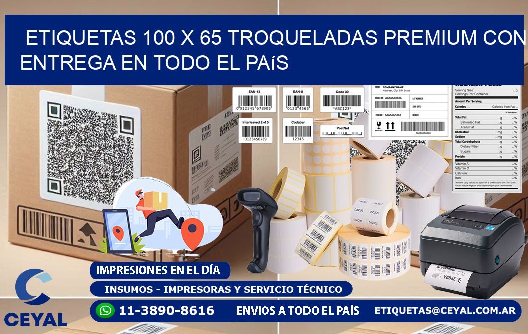 Etiquetas 100 x 65 troqueladas premium con entrega en todo el país