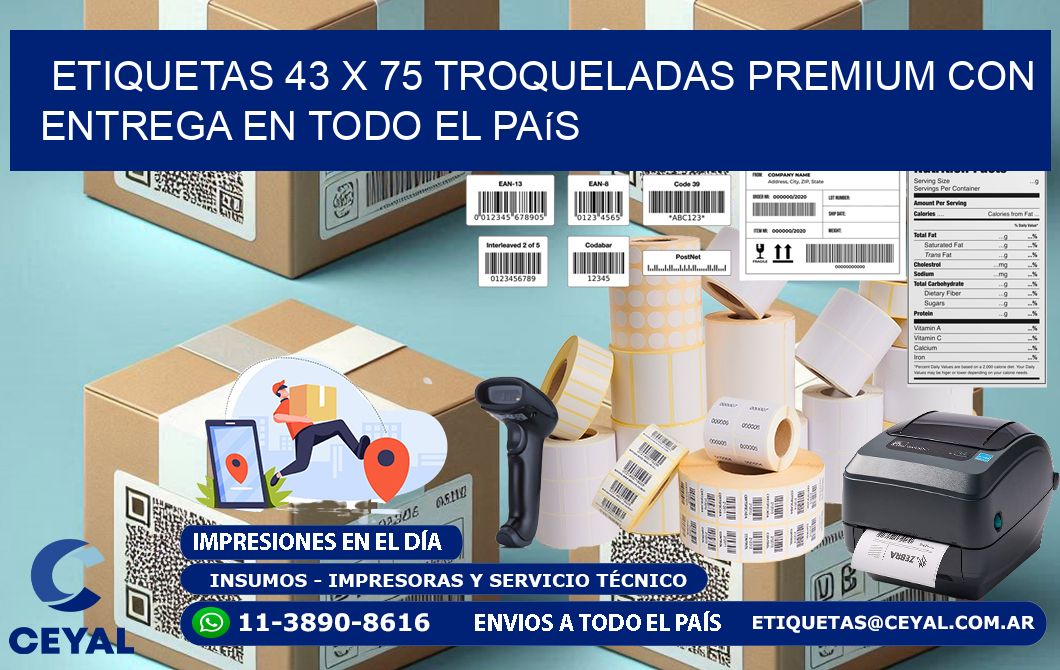 Etiquetas 43 x 75 troqueladas premium con entrega en todo el país