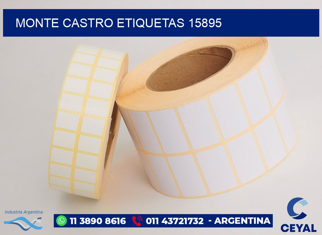 Monte Castro etiquetas 15895