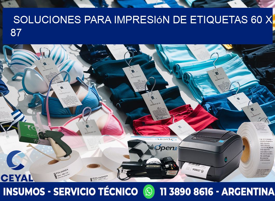 Soluciones para impresión de etiquetas 60 x 87