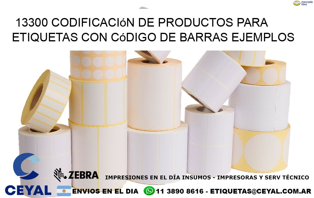 13300 Codificación de productos para etiquetas con código de barras ejemplos