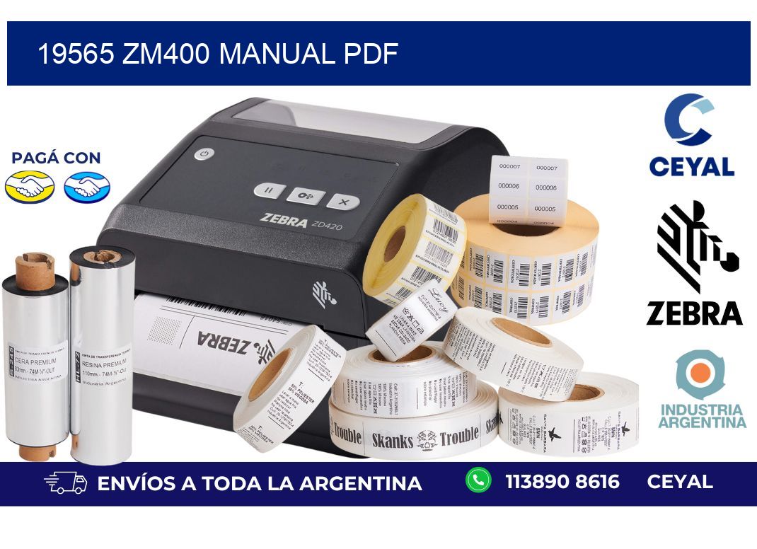 19565 ZM400 manual PDF