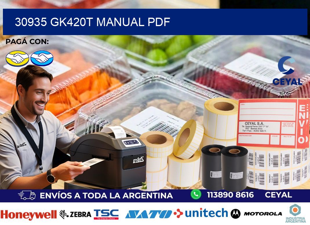 30935 GK420T manual PDF