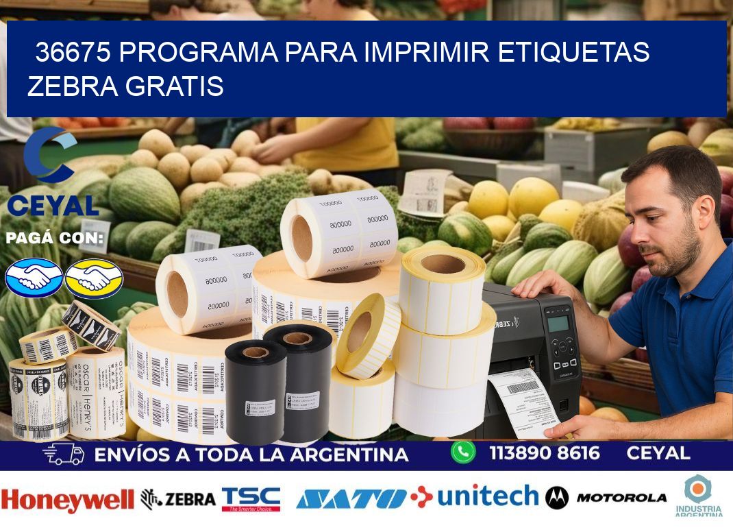 36675 Programa para imprimir etiquetas Zebra gratis