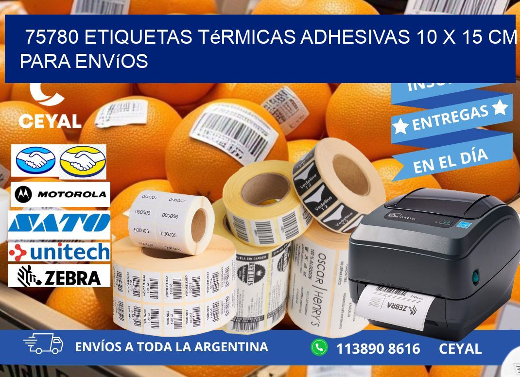 75780 Etiquetas Térmicas Adhesivas 10 x 15 cm para Envíos