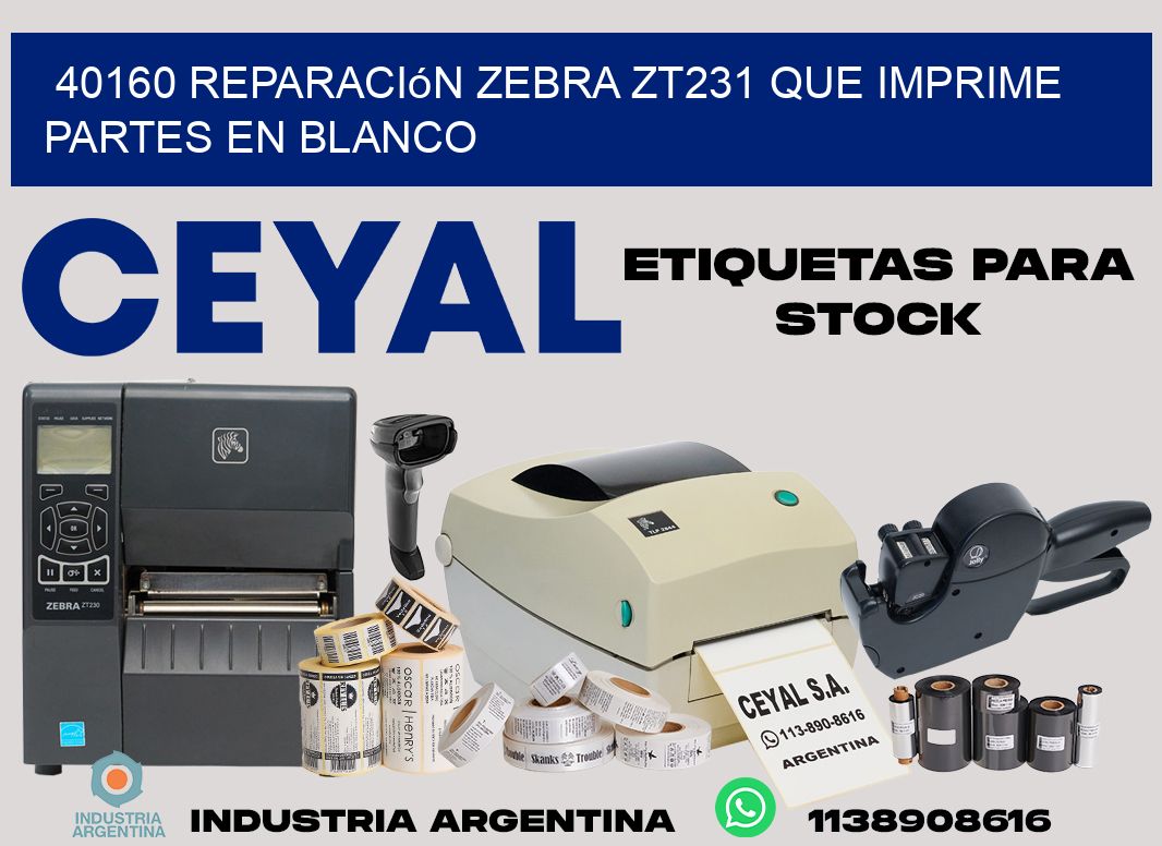 40160 reparación zebra zt231 que imprime partes en blanco
