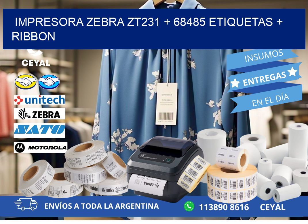 impresora zebra zt231 + 68485 etiquetas + ribbon