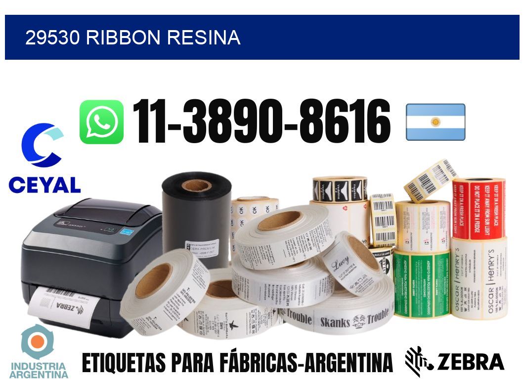 29530 ribbon resina