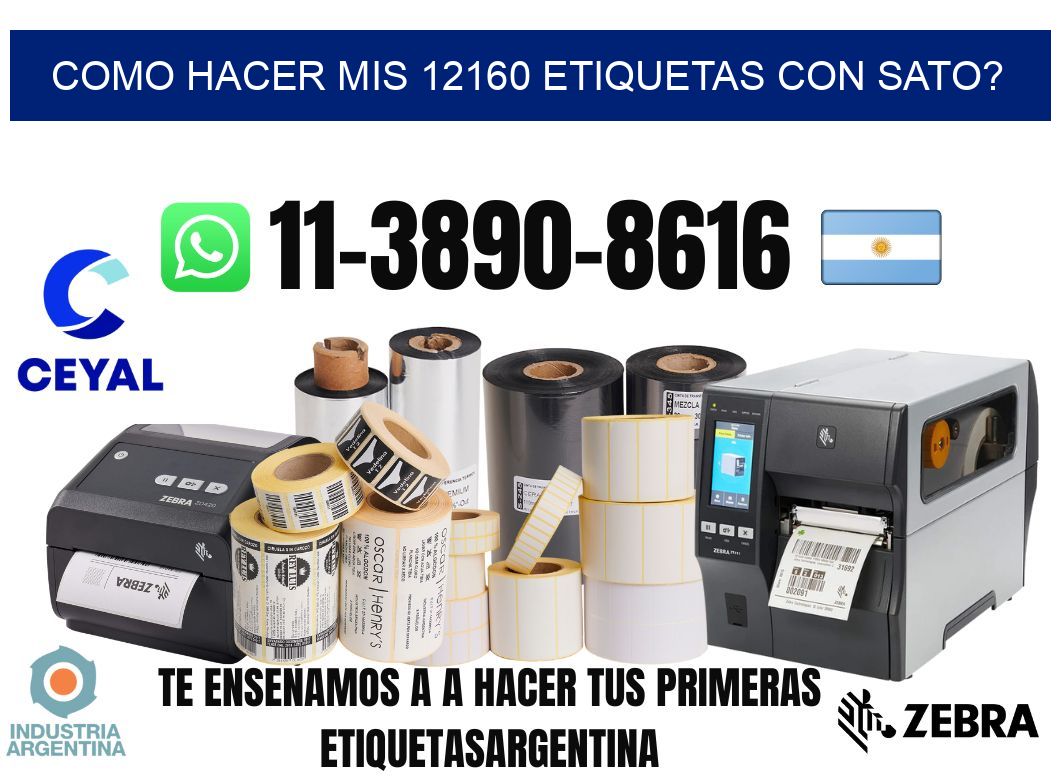 como hacer mis 12160 etiquetas con sato?