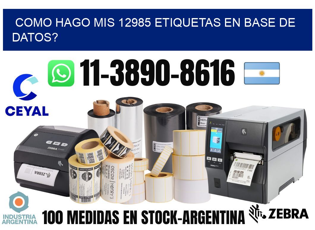 como hago mis 12985 etiquetas en base de datos?