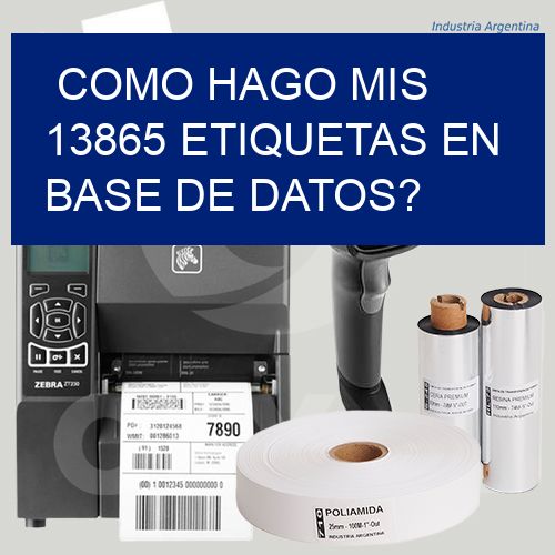 como hago mis 13865 etiquetas en base de datos?