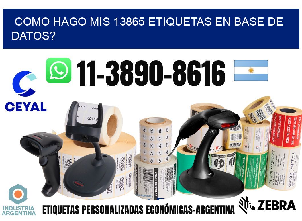 como hago mis 13865 etiquetas en base de datos?