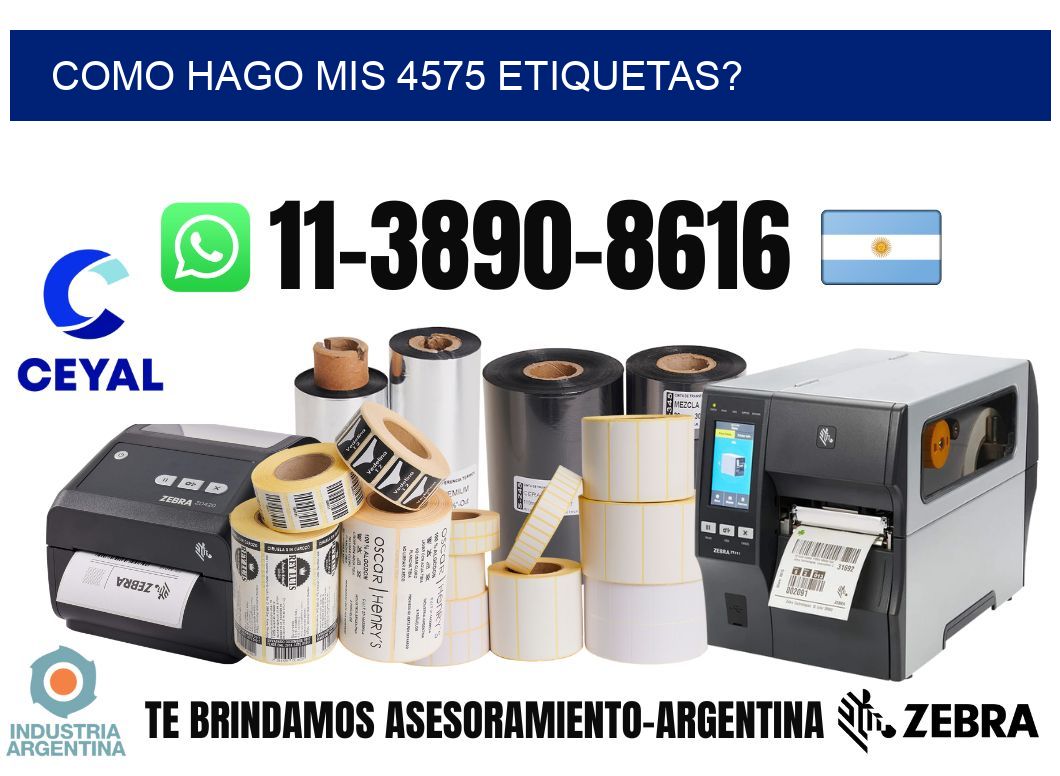 como hago mis 4575 etiquetas?