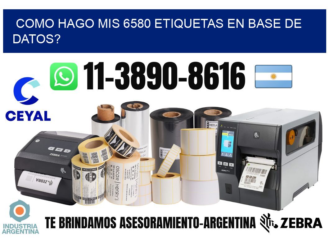 como hago mis 6580 etiquetas en base de datos?