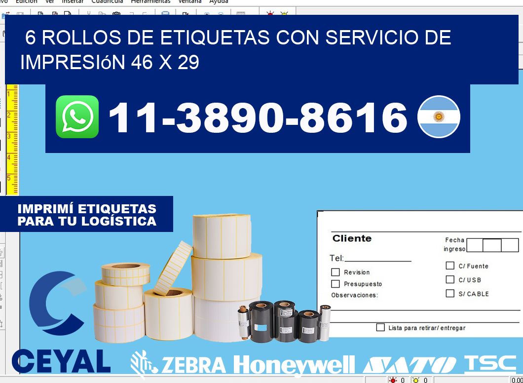 6 rollos de etiquetas con servicio de impresión 46 x 29
