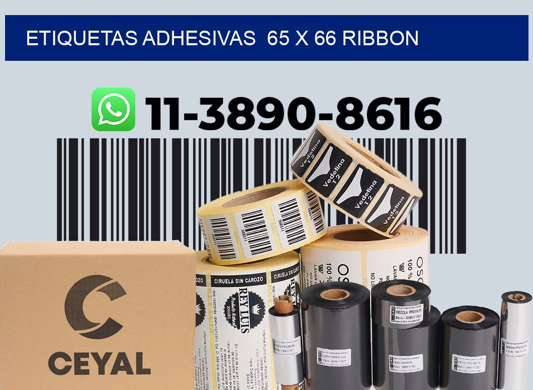 Etiquetas adhesivas  65 x 66 ribbon