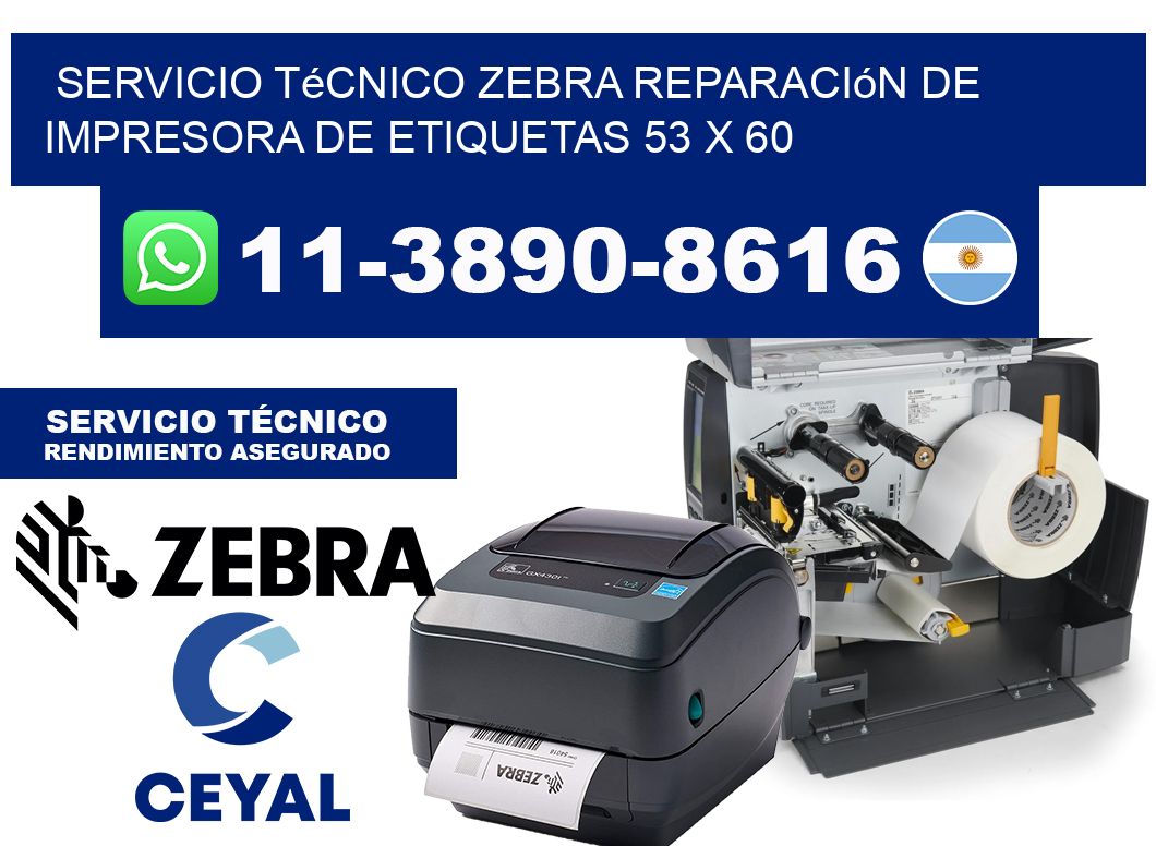 Servicio Técnico Zebra Reparación de Impresora de Etiquetas 53 x 60