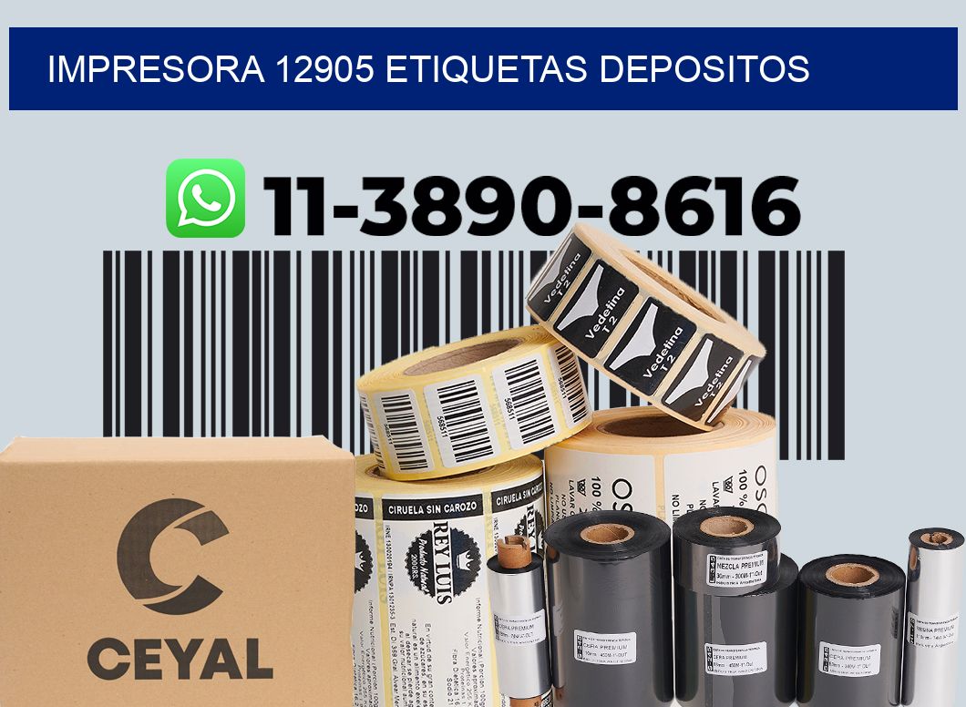 impresora 12905 etiquetas depositos