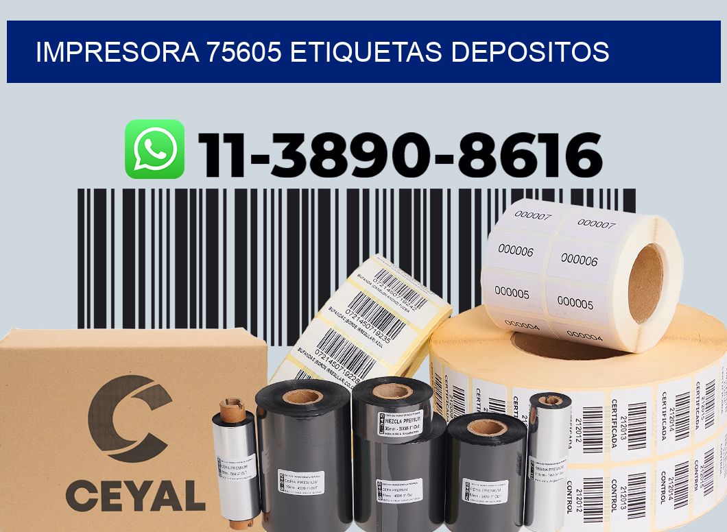 impresora 75605 etiquetas depositos