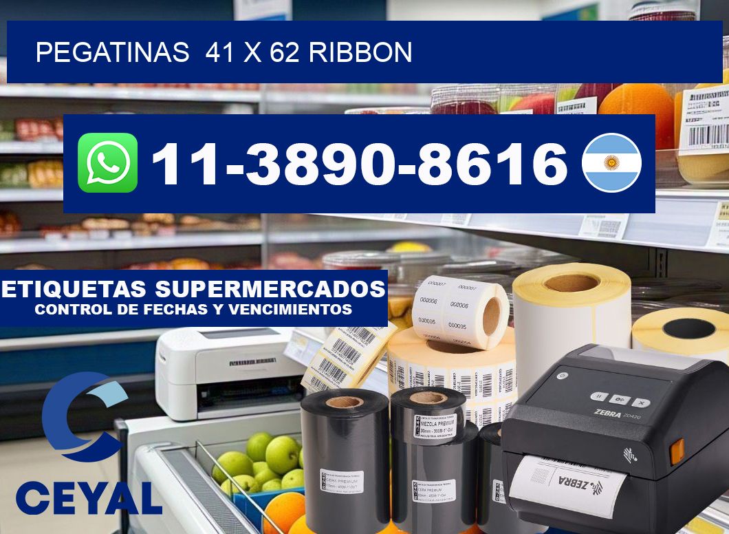 pegatinas 41 x 62 ribbon