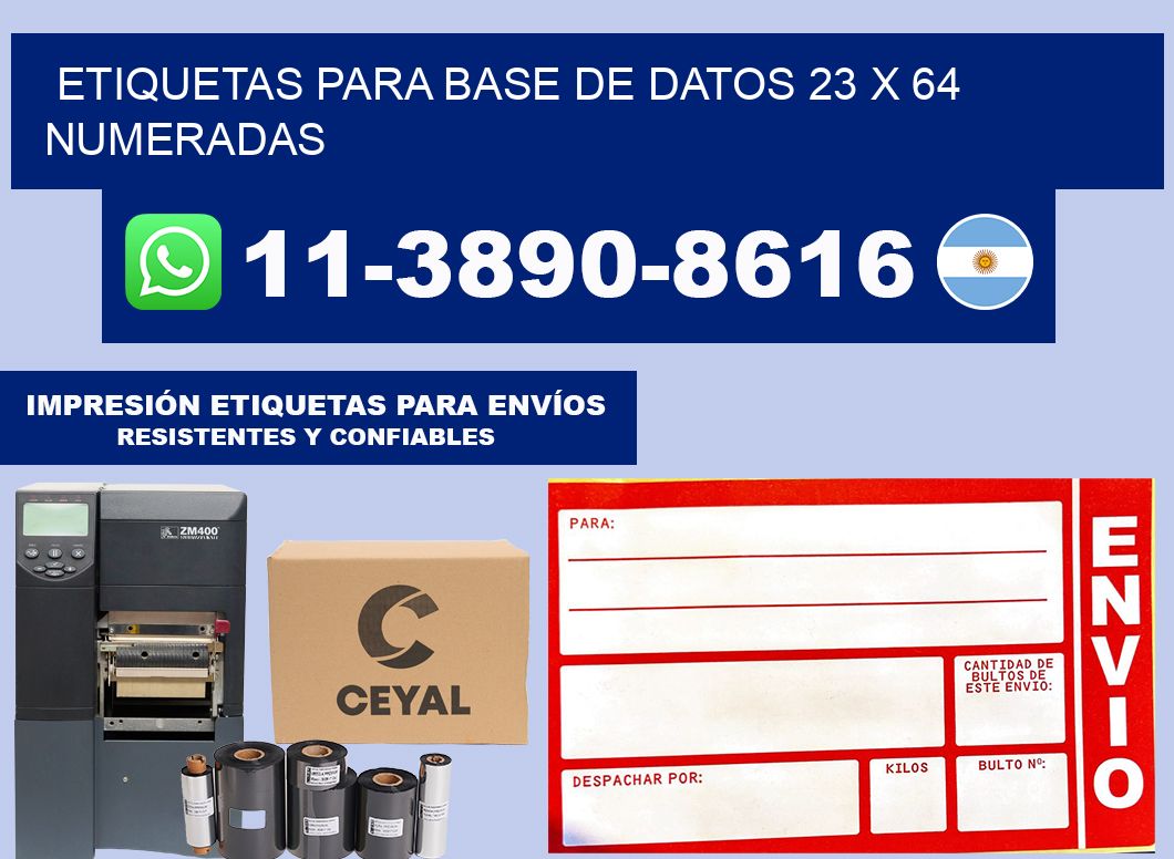 etiquetas para base de datos 23 x 64 numeradas