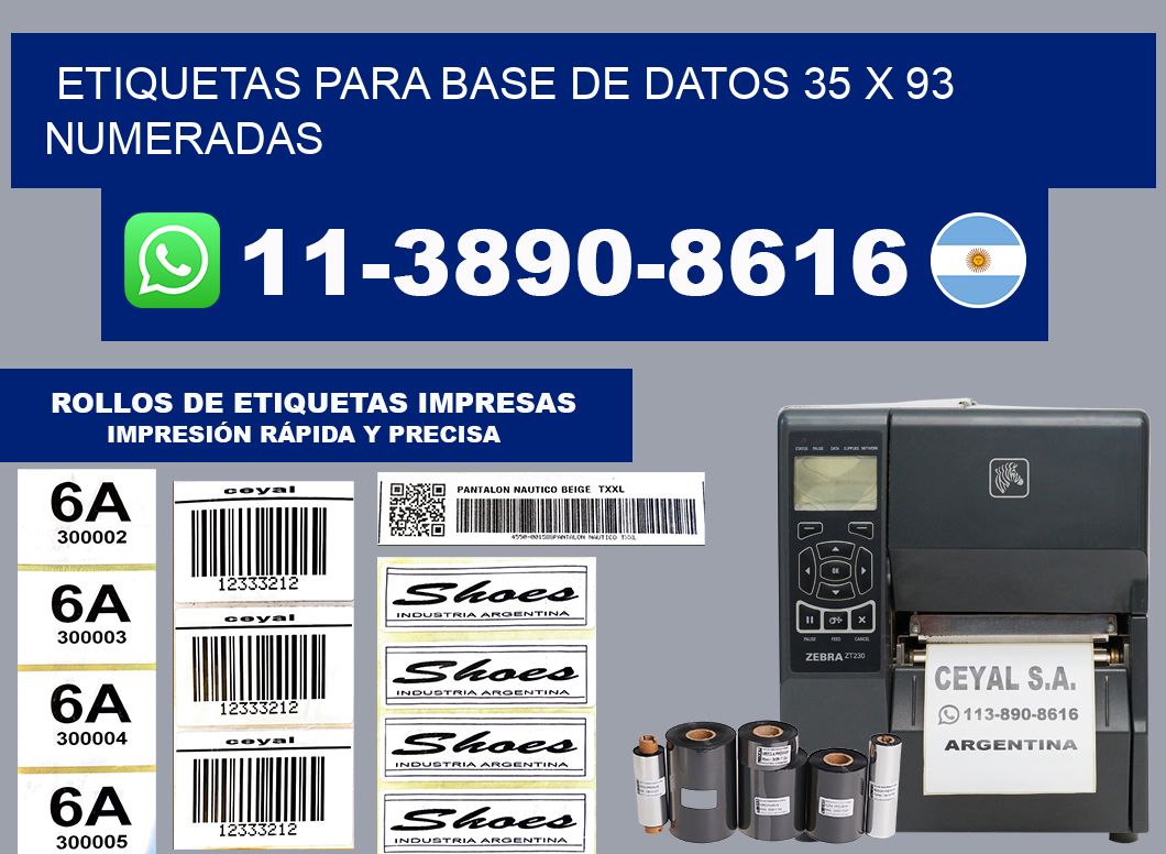 etiquetas para base de datos 35 x 93 numeradas