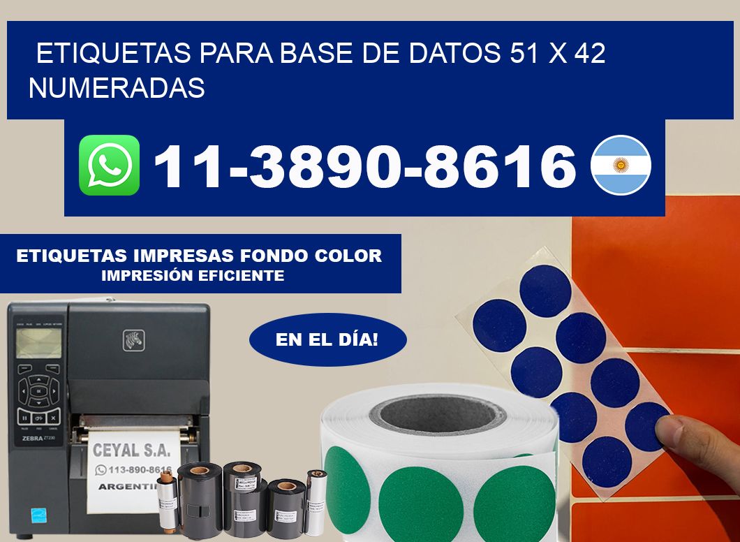 etiquetas para base de datos 51 x 42 numeradas