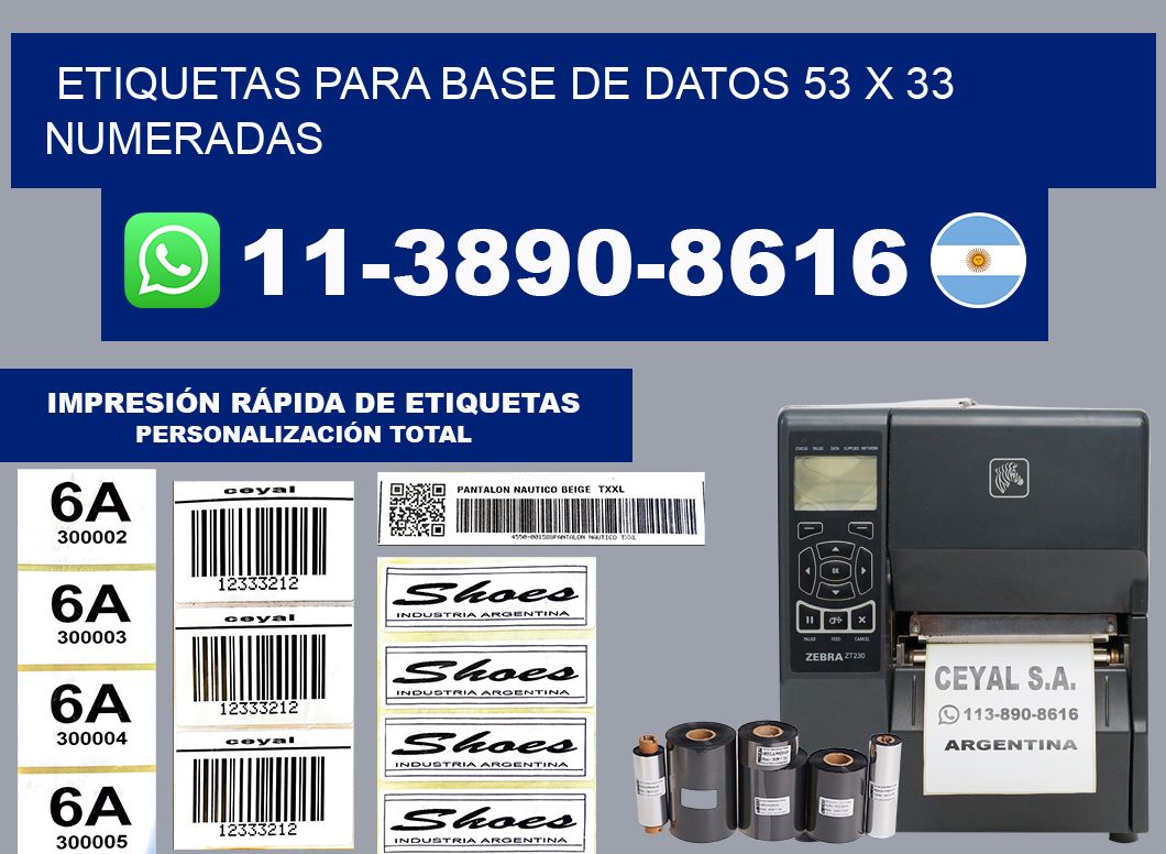 etiquetas para base de datos 53 x 33 numeradas