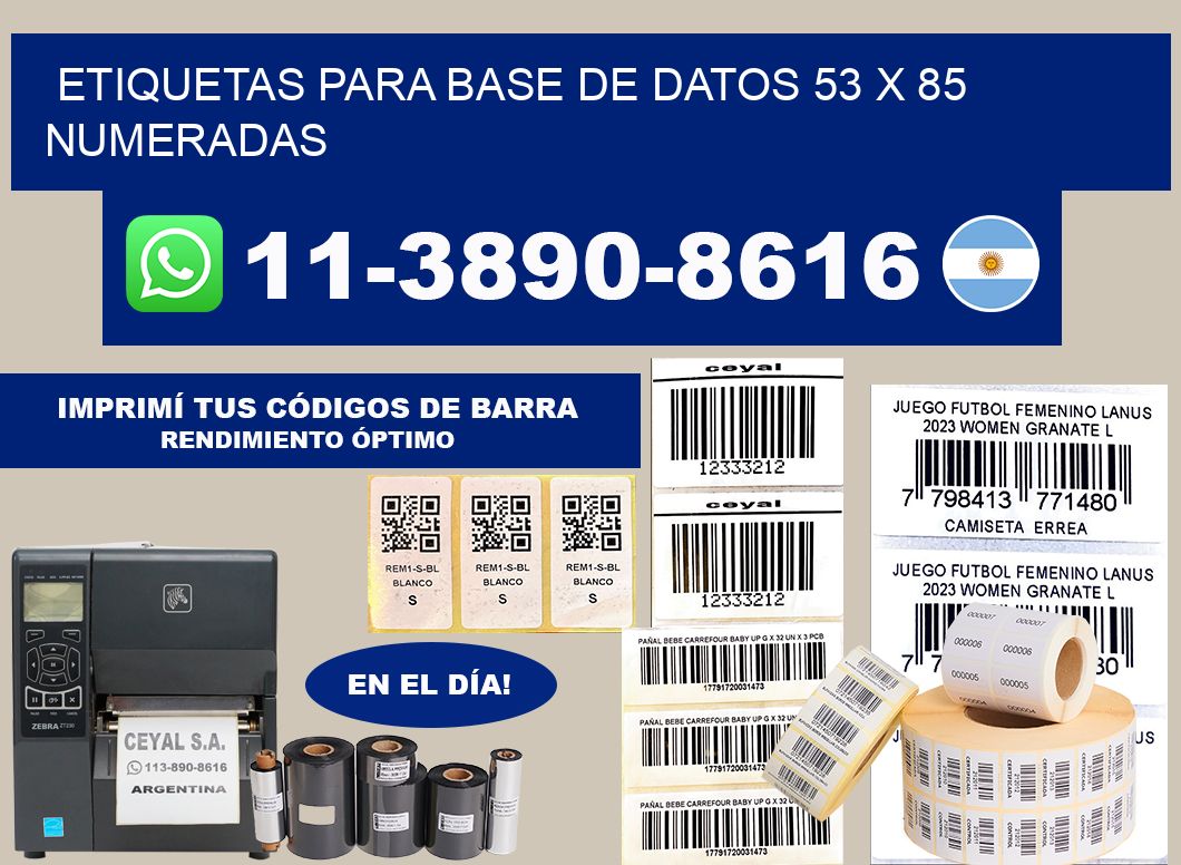etiquetas para base de datos 53 x 85 numeradas