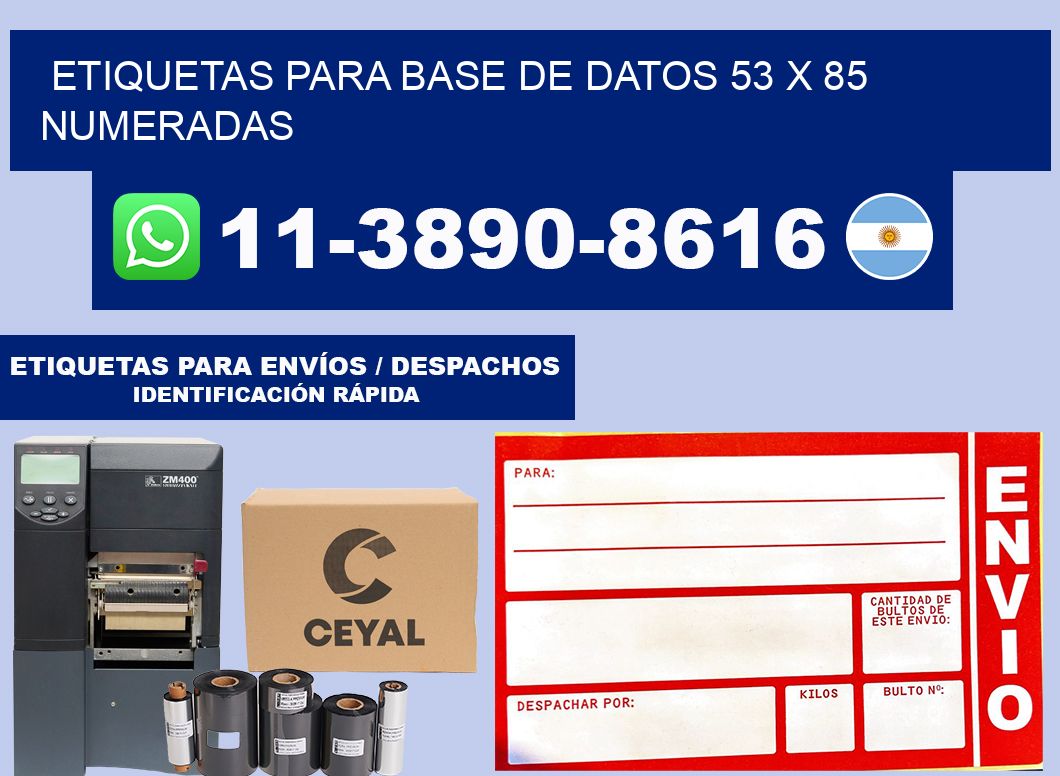 etiquetas para base de datos 53 x 85 numeradas