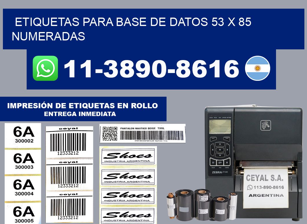 etiquetas para base de datos 53 x 85 numeradas