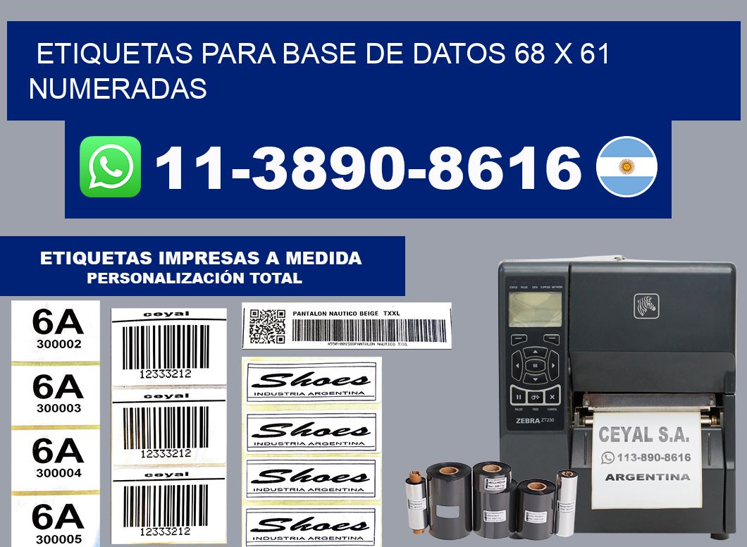 etiquetas para base de datos 68 x 61 numeradas