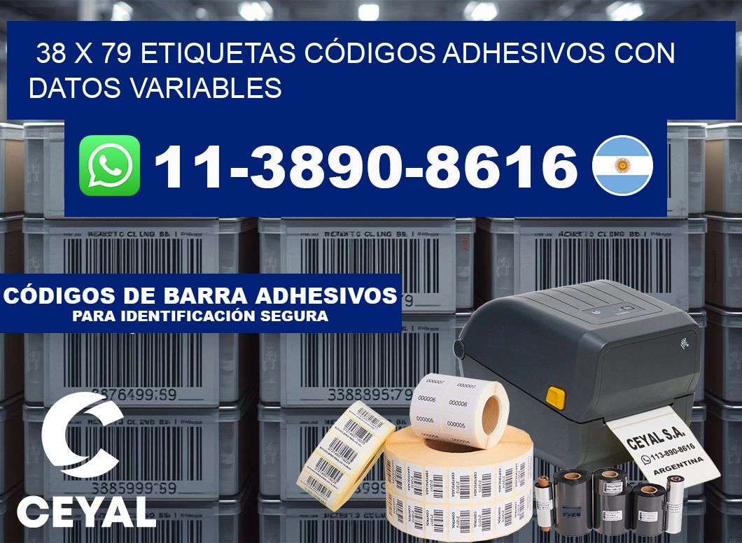 38 x 79 ETIQUETAS CÓDIGOS ADHESIVOS CON DATOS VARIABLES